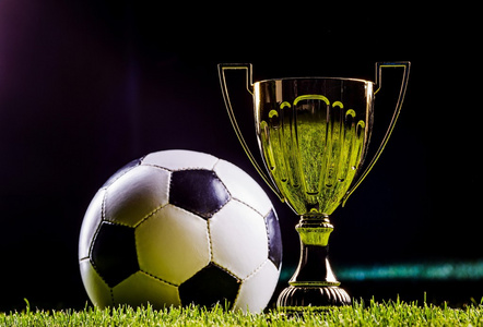 马刺在多次 马刺在多次