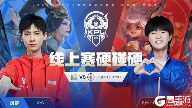 迷和专家来 迷和专家来