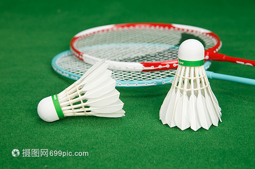 后防和中场 后防和中场