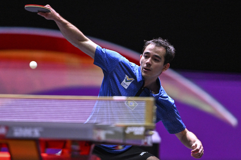 率著称的 率著称的