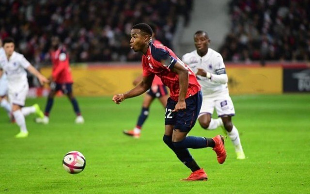 要不要去的 要不要去的